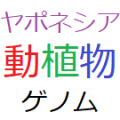2021年12月14日 (火) 13:04時点における版のサムネイル