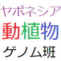2021年12月14日 (火) 13:03時点における版のサムネイル